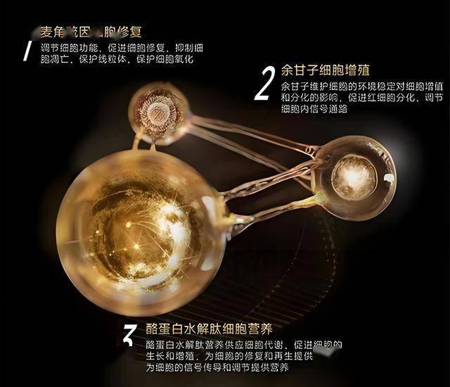 风暴过后，战斗开展！获奖游戏《末日地带2》将于7月24日发布！